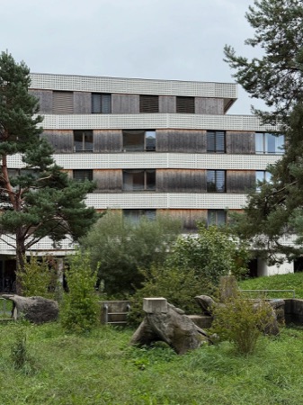 Fassaden, Fenster aus Beton, Holz · Wohnüberbauung Zellweger-Areal — Gigon / Guyer