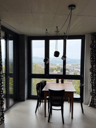Fenster, Decken aus Beton, Metall · Alterswohnen Rehbühl — Neff Neumann Architekten
