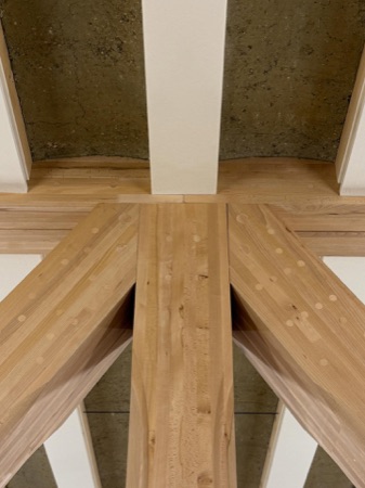 Stützen, Decken aus Holz · Hortus — Herzog & de Meuron
