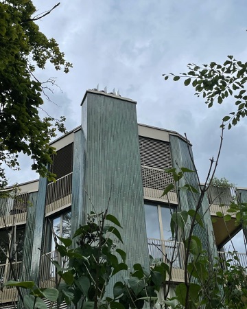 Fassaden, Fenster aus Metall, Glas · Wohnbauten Steinwies-/Irisstrasse — EMI Architekten