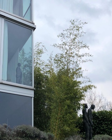 Fassaden, Fenster aus Metall, Glas · Haus mit einer Wand — Christian Kerez