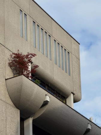 Fassaden, Fenster aus Beton, Metall · Spengler-Haus — SPPA Architekten