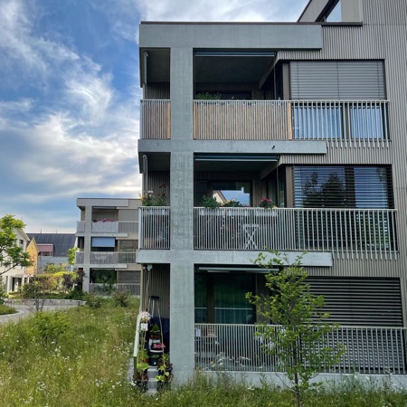 Fassaden, Fenster aus Beton, Holz · Wohnsiedlung Riedgraben — Blättler Dafflon Architekten