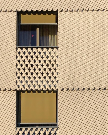 Fassaden, Fenster aus Holz, Metall · Wohnhaus Felsenrain — Hunkeler Hürzeler Architekten