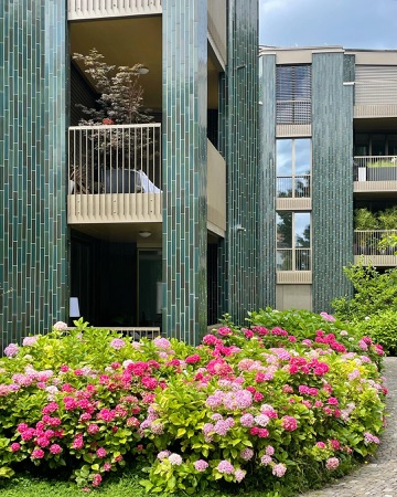 Fassaden, Fenster aus Metall, Glas · Wohnbauten Steinwies-/Irisstrasse — EMI Architekten