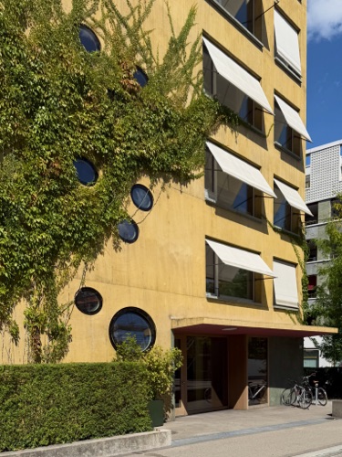 Fassaden, Fenster aus Beton · Neubau Mehrfamilienhaus Albisriederstrasse — Darlington Meier Architekten
