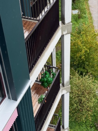 Handläufe, Balkone aus Beton, Holz · Alterswohnen Rehbühl — Neff Neumann Architekten