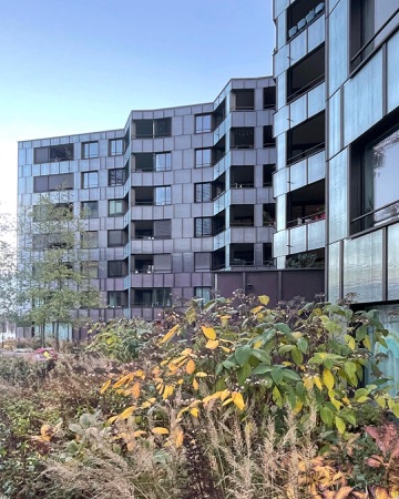Fassaden, Fenster aus Metall, Glas · Wohnüberbauung Guggach — BS+EMI Architektenpartner