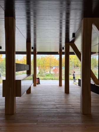 Stützen, Decken aus Holz · Hortus — Herzog & de Meuron