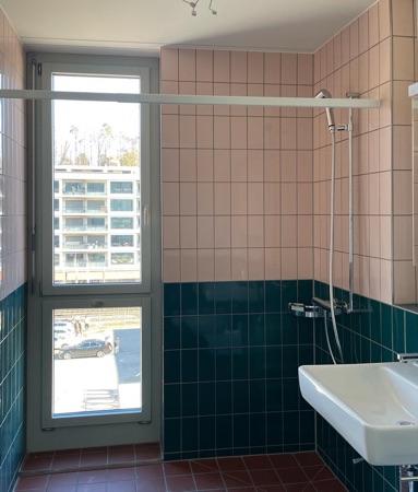 Fenster, Bäder aus Metall, Glas · Manegg Mitte — Neff Neumann Architekten