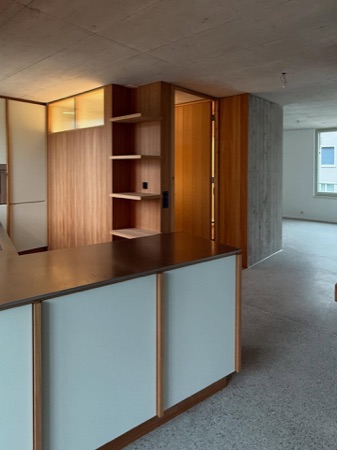 Küchen aus Beton, Holz · Mehrfamilienhaus Imfeldstrasse 5 und 7 — Huggenbergerfries Architekten