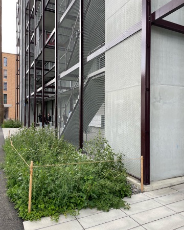 Fassaden, Treppenhäuser aus Beton, Metall · Hobelwerk, Haus E — Ramser Schmid Architekten