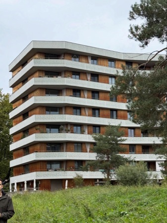 Fassaden, Fenster aus Beton, Holz · Wohnüberbauung Zellweger-Areal — Gigon / Guyer