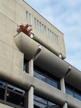 Fassaden, Fenster aus Beton, Glas · Spengler-Haus — SPPA Architekten