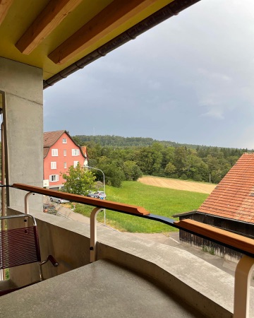 Handläufe, Balkone aus Beton, Holz · Haus im Garten — Loeliger Strub Architektur