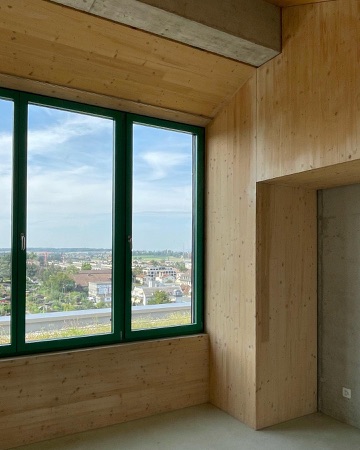 Fenster aus Beton, Holz · Guggach III — Donet Schäfer Reimer Architekten