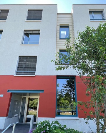 Fassaden, Fenster aus Metall, Glas · Wohnhaus Birchstrasse — Adrian Streich Architekten