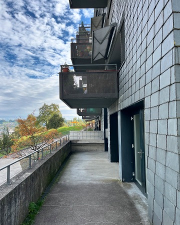 Fassaden, Balkone aus Metall, Naturstein · Wohnsiedlung Leimbachstrasse — pool Architekten