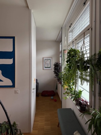 Fenster, Türen aus Holz, Glas · Transformation eines Lagergebäudes zu Wohnungen — Buol & Zünd