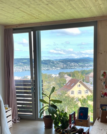 Fenster, Decken aus Holz, Metall · Wohnsiedlung Kuppe, Quartier Trift — Esch Sintzel Architekten