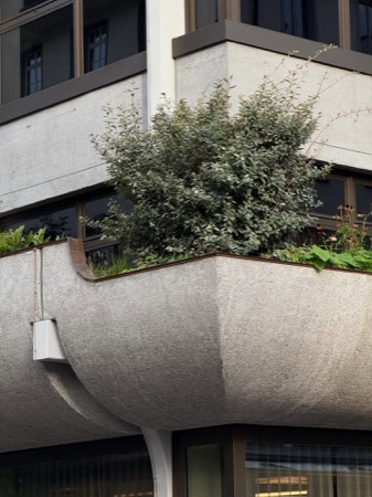 Fassaden, Fenster aus Beton, Metall · Spengler-Haus — SPPA Architekten