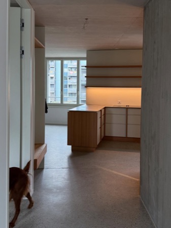 Küchen aus Beton, Holz · Mehrfamilienhaus Imfeldstrasse 5 und 7 — Huggenbergerfries Architekten