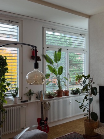Fenster aus Holz, Metall · Transformation eines Lagergebäudes zu Wohnungen — Buol & Zünd
