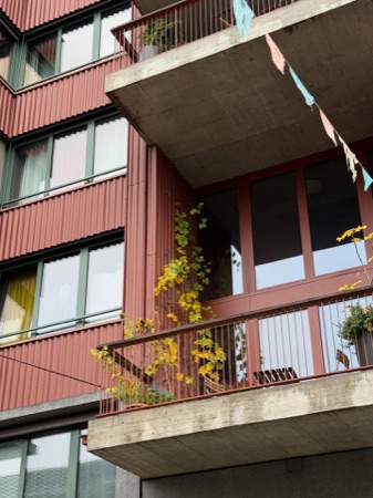 Fassaden, Fenster aus Beton, Metall · Haus LeNa — Scheibler & Villard