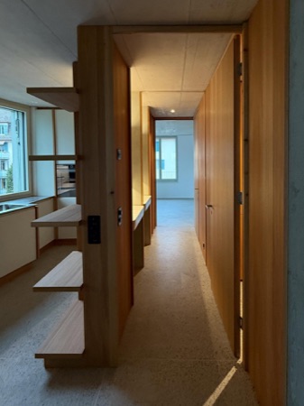 Türen, Küchen aus Beton, Holz · Mehrfamilienhaus Imfeldstrasse 5 und 7 — Huggenbergerfries Architekten