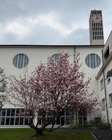 Fassaden, Fenster aus Glas, Verputz · Kirche Maria Lourdes — Fritz Metzger