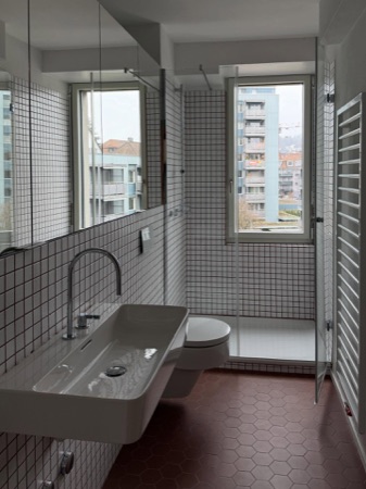 Fenster, Bäder aus Metall, Glas · Mehrfamilienhaus Imfeldstrasse 5 und 7 — Huggenbergerfries Architekten