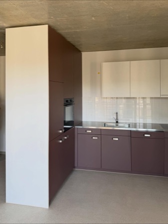 Küchen, Decken aus Beton, Metall · Wohnsiedlung Hardau I — Graber Pulver Architekten