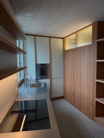 Küchen aus Beton, Holz · Mehrfamilienhaus Imfeldstrasse 5 und 7 — Huggenbergerfries Architekten
