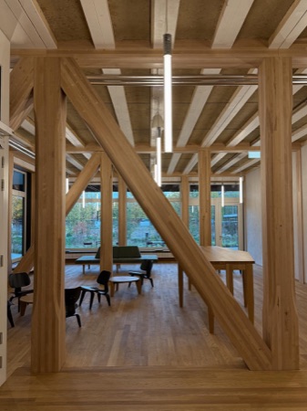 Stützen, Decken aus Holz · Hortus — Herzog & de Meuron