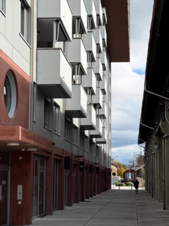 Fassaden, Balkone aus Beton, Metall · Letziturm — Armon Semadeni Architekten