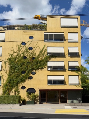Fassaden, Fenster aus Beton · Neubau Mehrfamilienhaus Albisriederstrasse — Darlington Meier Architekten