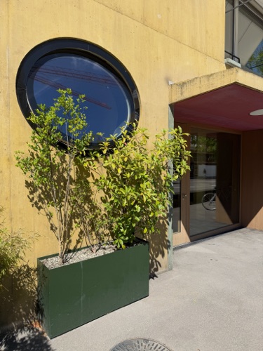 Fenster, Eingänge aus Beton · Neubau Mehrfamilienhaus Albisriederstrasse — Darlington Meier Architekten