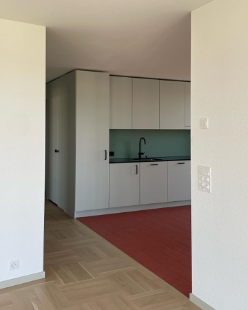 Küchen aus Holz, Metall · Wohnsiedlung Asylstrasse — Fischer Architekten