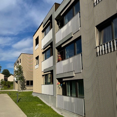 Fassaden, Fenster aus Beton, Holz · Wohnsiedlung Riedgraben — Blättler Dafflon Architekten