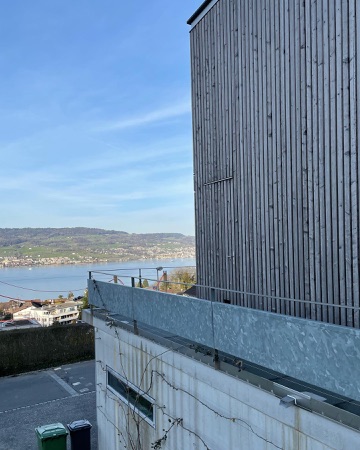 Fassaden, Balkone aus Beton, Holz · Wohnhaus Trüb — op-arch