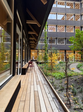 Fassaden, Höfe aus Holz, Metall · Hortus — Herzog & de Meuron