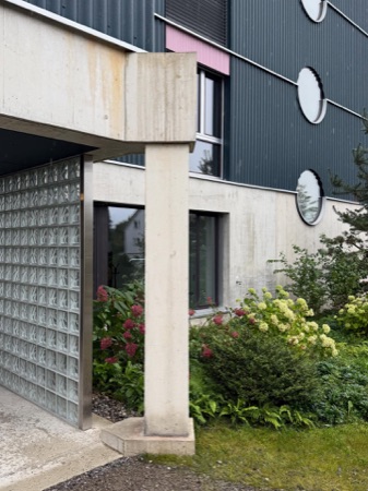 Fassaden, Fenster aus Beton, Metall · Alterswohnen Rehbühl — Neff Neumann Architekten