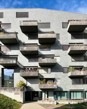 Fassaden, Fenster aus Metall, Naturstein · Wohnsiedlung Leimbachstrasse — pool Architekten