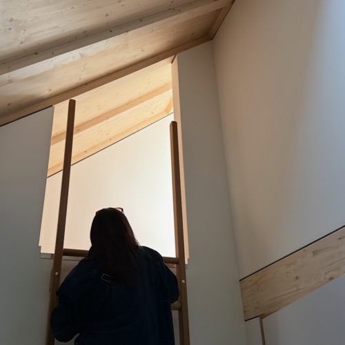 Holz · Wohnüberbauung Hofwisen — Baumberger Stegmeier Architektur