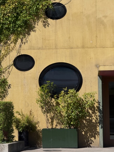 Fassaden, Fenster aus Beton · Neubau Mehrfamilienhaus Albisriederstrasse — Darlington Meier Architekten